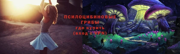крисы Белокуриха