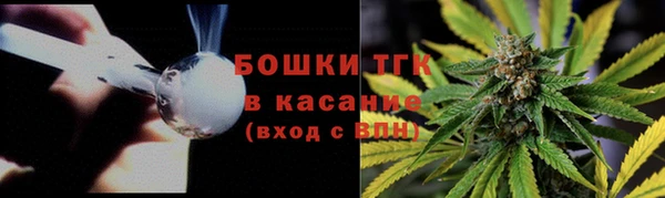 крисы Белокуриха
