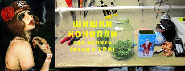 крисы Белокуриха
