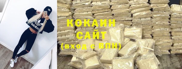 крисы Белокуриха