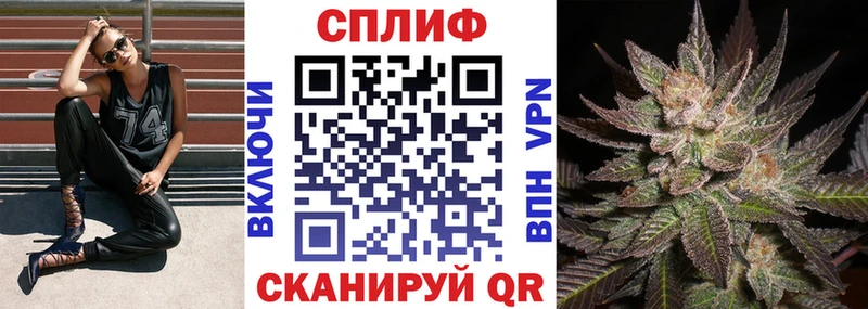 Каннабис SATIVA & INDICA  Горняк 